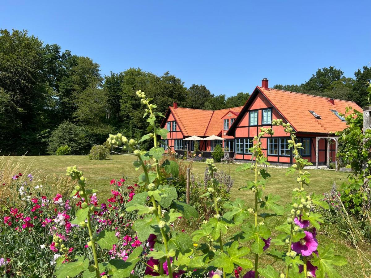 Villa Hasselbacken Gärsnäs Extérieur photo
